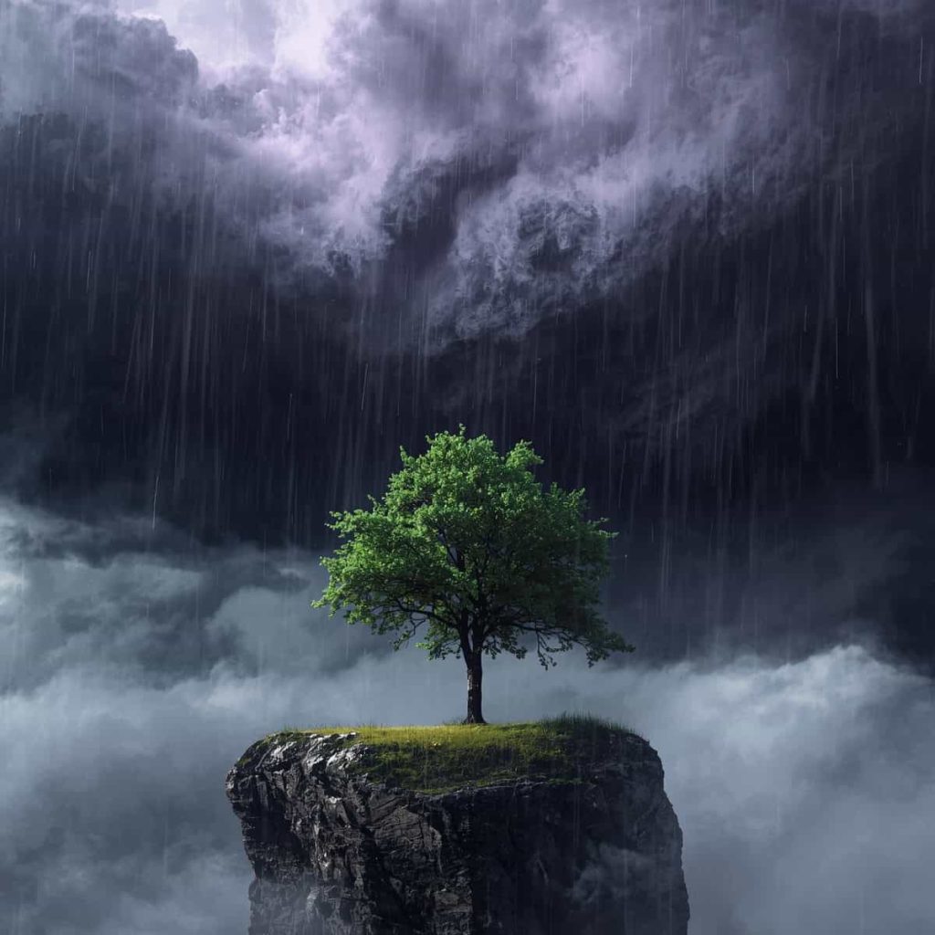 Resilienz in Sales & Leadership